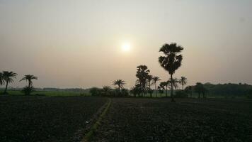 Landschaft von Natur foto