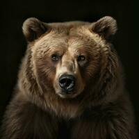 Porträt von ein Bär auf ein schwarz Hintergrund. generativ ai. foto
