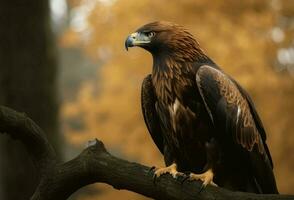 Adler Ast Baum. generieren ai foto