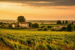 Frankreich Weinberg Landschaft rustikal. generieren ai foto