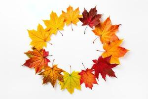 schön Herbst Natur Hintergrund von Ahorn Blätter foto