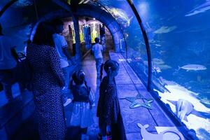 Familie suchen beim Fische und Hai im Ozeanarium. Mutter mit Kinder genießen im Ozean Ausstellungsstück Panzer. foto