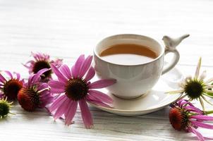 Echinacea-Tee mit Zitrone und frischen Blumen. foto