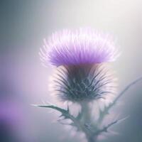 Blühen Distel im Sanft Licht. ai generativ foto