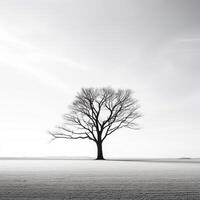 einsam Baum Gießen Schatten gegen Stark Weiß Hintergrund ai generativ foto