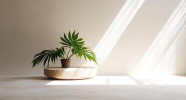 leeren hölzern Podium mit Monstera Blätter auf Hintergrund, natürlich Schatten Design. Schönheit Produkt Anzeige. organisch natürlich Konzept. spotten hoch, Spa. ai generativ foto