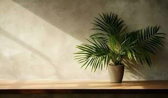 grau Zement Mauer und Boden, Palme Baum im Vase im ein Sonnenlicht, Schatten, Sonnenstrahlen bewirken von Fenster, zum Luxus Innere Design Dekoration, Produkt Anzeige Hintergrund. ai generativ foto
