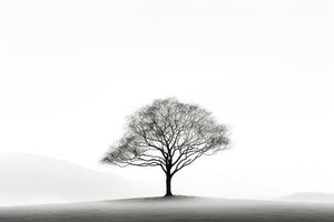 verkörpern Einsamkeit - - monochromatisch Bild von ein einsam Baum Gießen Schatten gegen ein Stark Weiß Hintergrund ai generativ foto