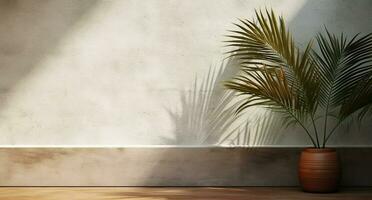 grau Zement Mauer und Boden, Palme Baum im Vase im ein Sonnenlicht, Schatten, Sonnenstrahlen bewirken von Fenster, zum Luxus Innere Design Dekoration, Produkt Anzeige Hintergrund. ai generativ foto