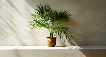 grau Zement Mauer und Boden, Palme Baum im Vase im ein Sonnenlicht, Schatten, Sonnenstrahlen bewirken von Fenster, zum Luxus Innere Design Dekoration, Produkt Anzeige Hintergrund. ai generativ foto