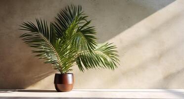 grau Zement Mauer und Boden, Palme Baum im Vase im ein Sonnenlicht, Schatten, Sonnenstrahlen bewirken von Fenster, zum Luxus Innere Design Dekoration, Produkt Anzeige Hintergrund. ai generativ foto