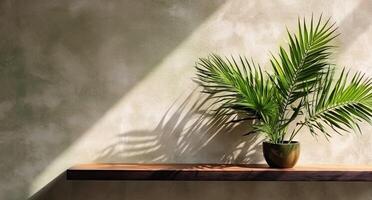 grau Zement Mauer und Boden, Palme Baum im Vase im ein Sonnenlicht, Schatten, Sonnenstrahlen bewirken von Fenster, zum Luxus Innere Design Dekoration, Produkt Anzeige Hintergrund. ai generativ foto