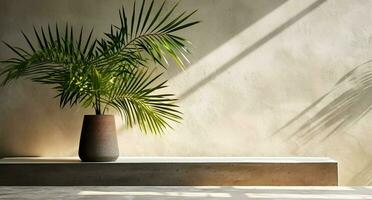 grau Zement Mauer und Boden, Palme Baum im Vase im ein Sonnenlicht, Schatten, Sonnenstrahlen bewirken von Fenster, zum Luxus Innere Design Dekoration, Produkt Anzeige Hintergrund. ai generativ foto