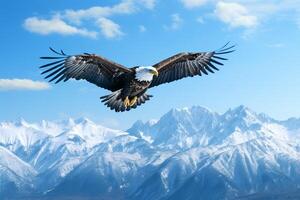 majestätisch Adler hochfliegend über ein makellos, schneebedeckt Berg Angebot unter ein Blau Himmel ai generativ foto