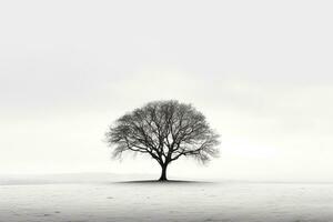 verkörpern Einsamkeit - - monochromatisch Bild von ein einsam Baum Gießen Schatten gegen ein Stark Weiß Hintergrund ai generativ foto