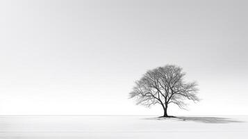 verkörpern Einsamkeit - - monochromatisch Bild von ein einsam Baum Gießen Schatten gegen ein Stark Weiß Hintergrund ai generativ foto