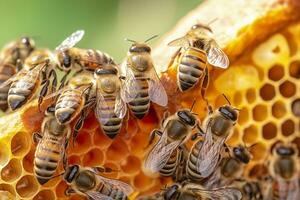 Honig Bienen auf Bienenwabe im Bienenhaus im Sommer, Honig Bienen kommunizieren mit jeder andere, ai generativ foto