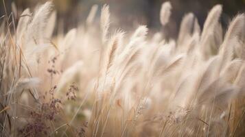 Pampas Gras draussen im Licht Pastell- Farben. trocken Schilf Boho Stil, generativ ai foto