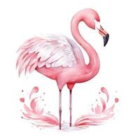 Aquarell Rosa Flamingo isoliert foto