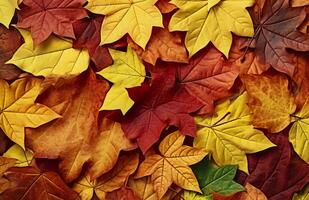 Hintergrund von Herbst Blätter. Herbst Hintergrund. generativ ai foto
