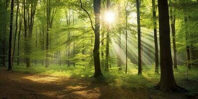 schön Strahlen von Sonnenlicht im ein Grün Wald. generativ ai foto