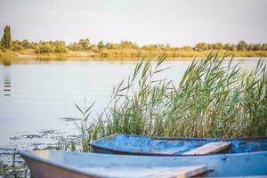 ein altes Eisenboot am Fluss. Schilf am Fluss unter der Sonne. Sommerlandschaft mit Booten foto