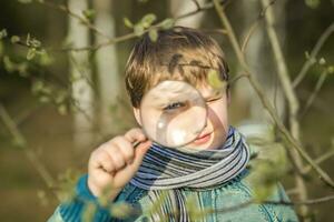 ein komisch Junge Spaziergänge durch das Frühling Park, untersucht das Blätter mit ein groß Vergrößerung Glas, sieht aus zum Fehler und genießt. foto