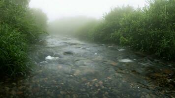 Wasser Strom im Natur Fluss im regnerisch Jahreszeit und kalt Nebel 3d Illustration foto