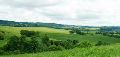 Wiese Hügel ländlich Landschaft Land und Himmel Horizont 3d Illustration foto