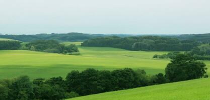 Wiese Hügel ländlich Landschaft Land und Himmel Horizont 3d Illustration foto