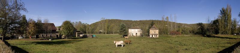 Panoramablick auf eine Rinderfarm auf dem Grundstück, Frankreich foto