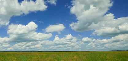 Gras Feld Gras und Himmel Hintergrund Horizont Panorama 3d Illustration foto