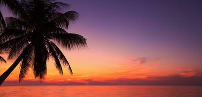 durch das Meer im das Abend beim Sonnenuntergang schön romantisch Sonnenuntergang durch ein Palme Blatt auf Paradies Strand 3d Illustration foto