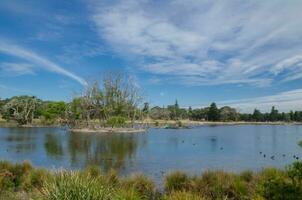 das Wolken Blau Himmel Tag Über das See mit das klein Insel beim Sydney hundertjährig Park, Lieblings Standorte zum Entspannung, Erholung und Sport moore Park Königinnen Park. foto