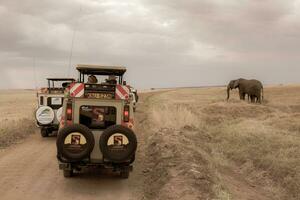 Jeep Safari im Massai mara National Park Kenia foto