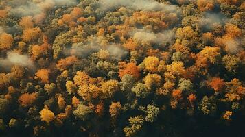 generativ ai, Herbst bunt Wald schön Landschaft im Hipster Jahrgang retro Stil, stumm geschaltet neutral Farben. foto