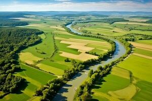 Antenne Aussicht von das Fluss und Wald. schön Sommer- Landschaft. ai generiert foto