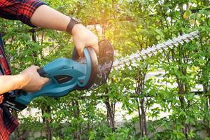 Gärtner, der eine elektrische Heckenschere hält, um die Baumkrone im Garten zu schneiden. foto