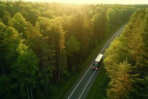 Antenne Aussicht von ein LKW auf das Straße im das Wald. foto