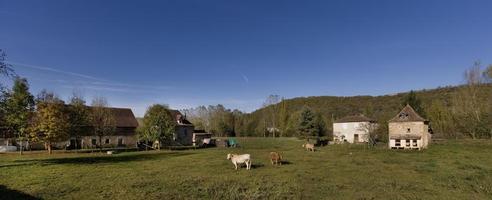 Panoramablick auf eine Rinderfarm auf dem Grundstück, Frankreich foto