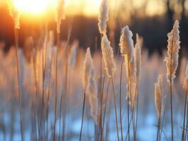 minimalistisch Winter Landschaft Komposition ai generativ foto