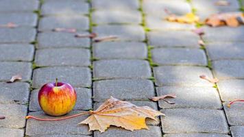 roter Apfel auf dem Fußweg foto