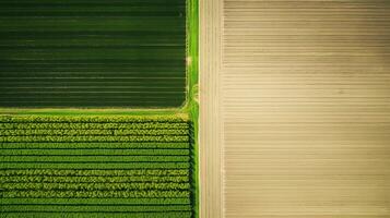 generativ ai, Bauernhof Landschaft, landwirtschaftlich Felder, schön Landschaft, Land Straße. Natur Illustration, fotorealistisch oben Aussicht Drohne, horizontal Banner. foto