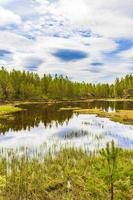 blauer himmel reflexion see fluss reflexion natur landschaft nissedal norwegen. foto