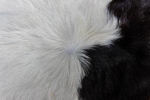 brauner Kuhfellmantel mit Fell schwarz weiß und braunen Flecken