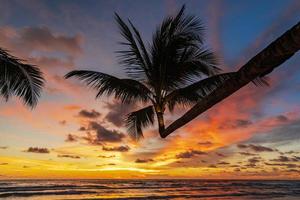 schöner tropischer Strand und Meer mit Silhouette der Kokospalme bei Sonnenuntergang foto