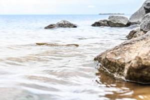 Granitsteine im Wasser am Ufer des Finnischen Meerbusens.