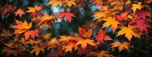 bunt Herbst Ahorn Blätter auf ein Baum Ast. ai generiert foto