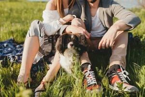 Sitzung im Gras jung stilvoll Hipster Paar im Liebe Gehen mit Hund im Landschaft foto
