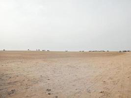 Tag in der Wüste Sahara, Ägypten foto